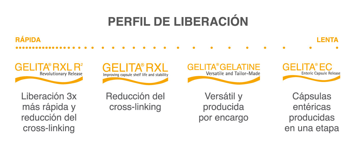 Spanish Version of GELATINE