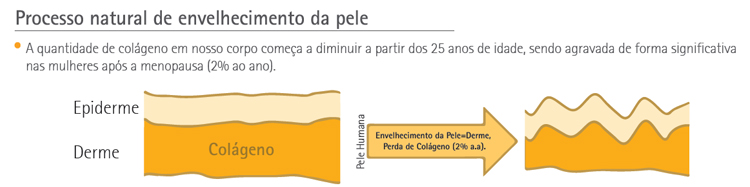 Processo Natural de Envelhecimento