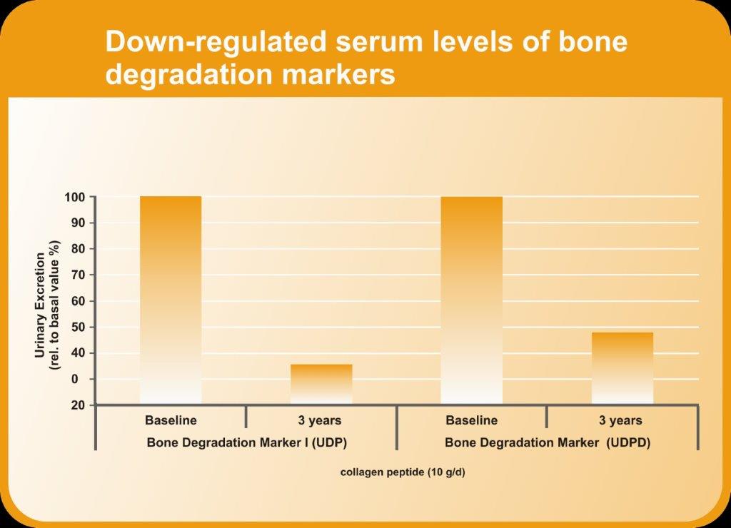 Bone Degredation Markers