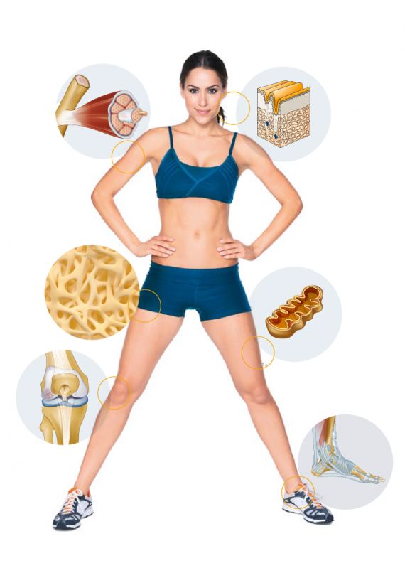 GELITA collagen