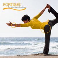 fortigel