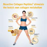 Bioactive Collagen Peptides