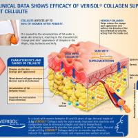 Infographic VERISOL 