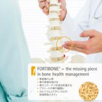 フォーティボーン(FORTIBONE®) チラシ イメージ