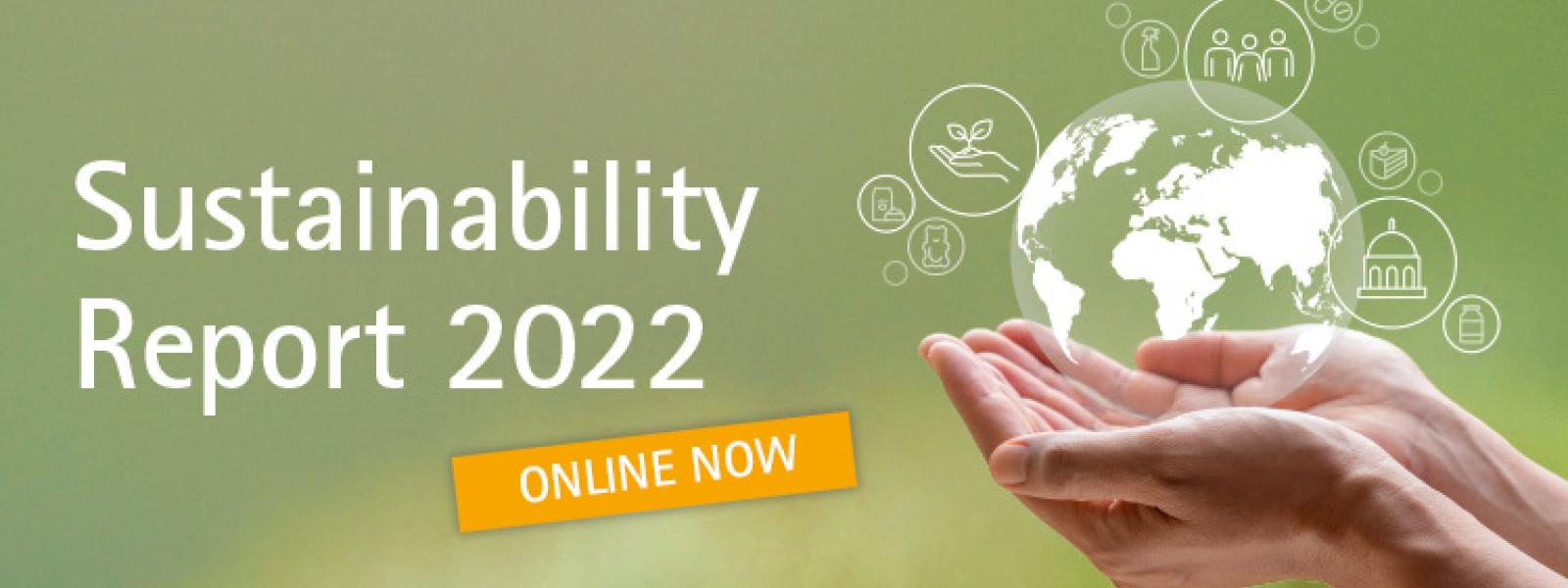 Sustainability Report 2022