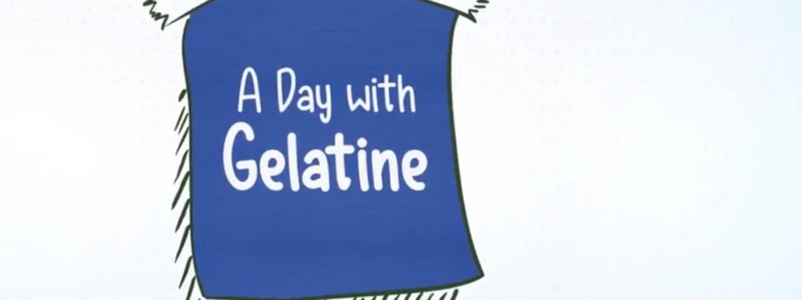 A Day with Gelatine