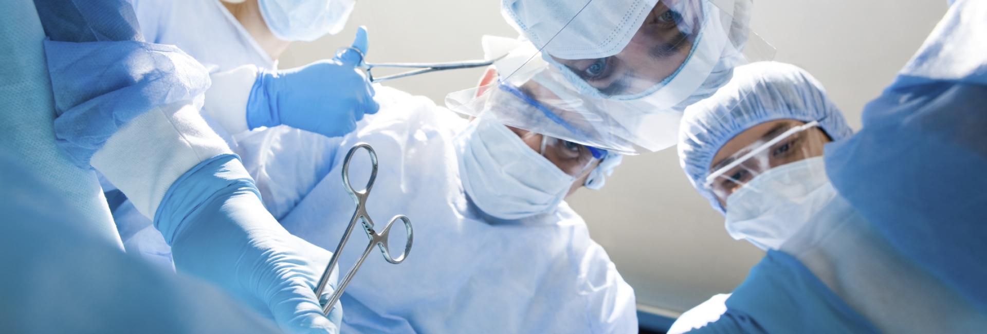 GELITA Medical Hemostats SPON CEL