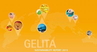 RELATÓRIO DE SUSTENTABILIDADE DA GELITA DE 2015