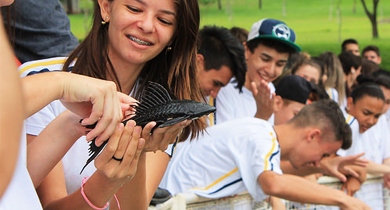 Soltura de Peixes no Rio Pirapó - Gelita