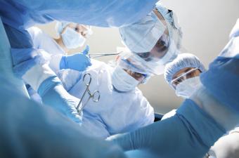 GELITA Medical Hemostats SPON CEL